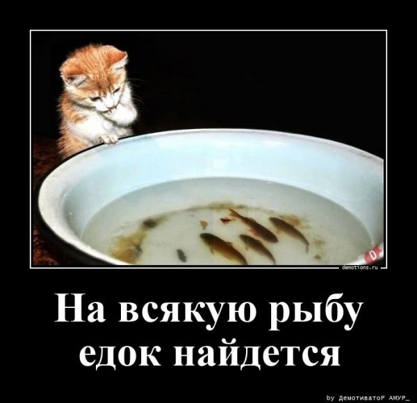На всякую рыбу найдётся едок