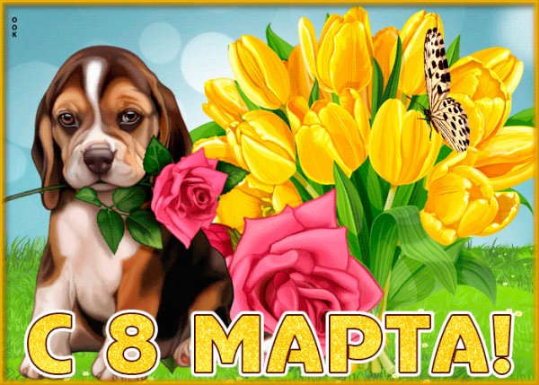 8 марта