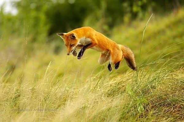 FB IMG 1773946333897