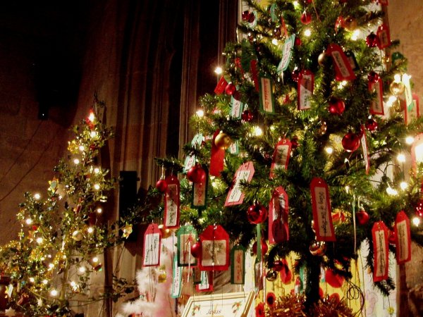 Amanda Slater Christmas Trees YEdnRGBZ