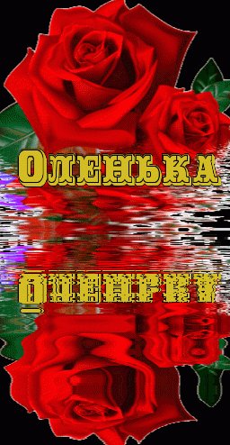 Оленька(роза на воде)