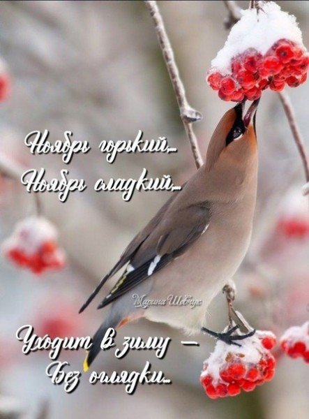 file_95180740