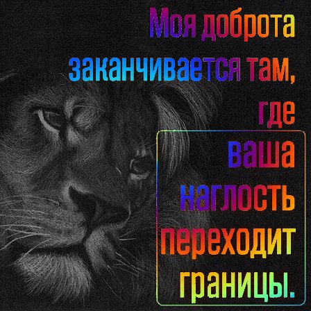 Лев Моя доброта