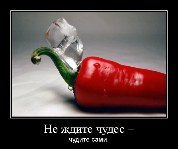 Не ждите чудес, чудите сами...