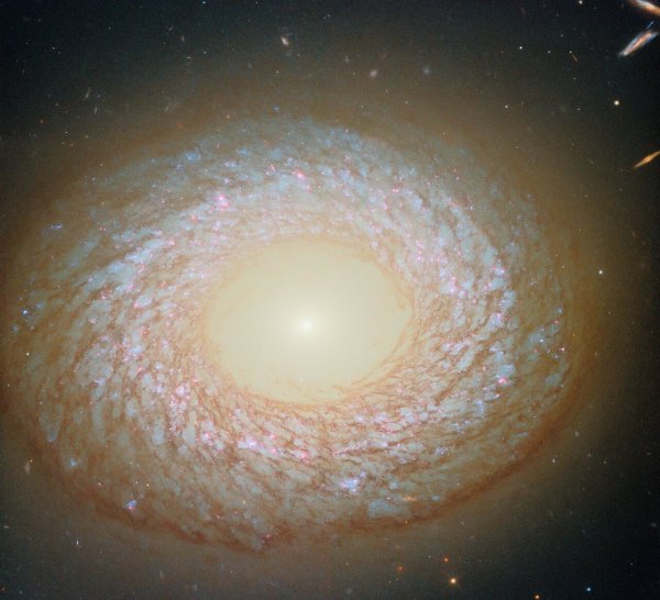 NGC 2775