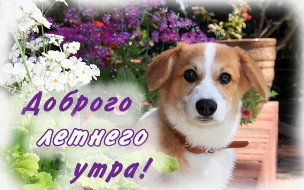 IMG 20190627 140953