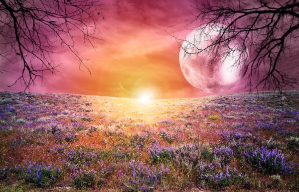 Sunrise