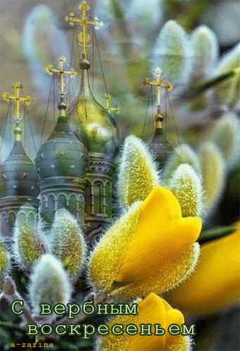 Анимированная открытка с вербным воскресеньем (4)