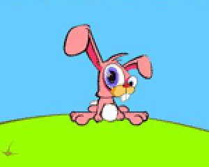 bunny