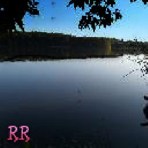RR 2.5 Fish mod