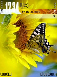 butterfly 1ahsf