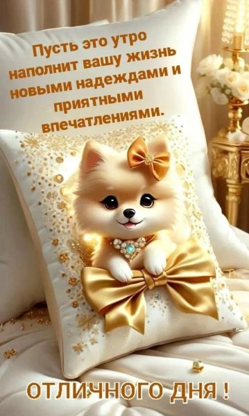 IMG 20260502 230231