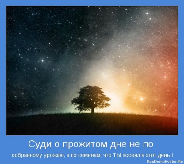 Суди о прожитом...