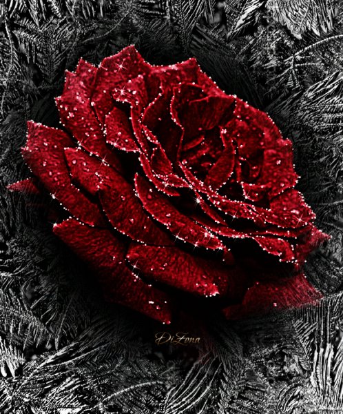 Fba7754694cf444bc5008bc1b5f9ec72