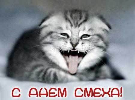 4fe2e8137077a8b6b9386c7965db24dc 184