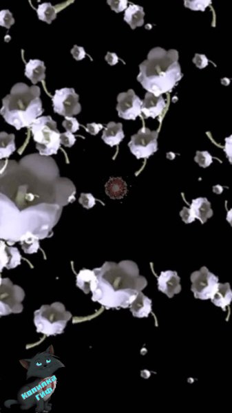 F0936-5648-4EB2-961D-DBE6312BF7C7