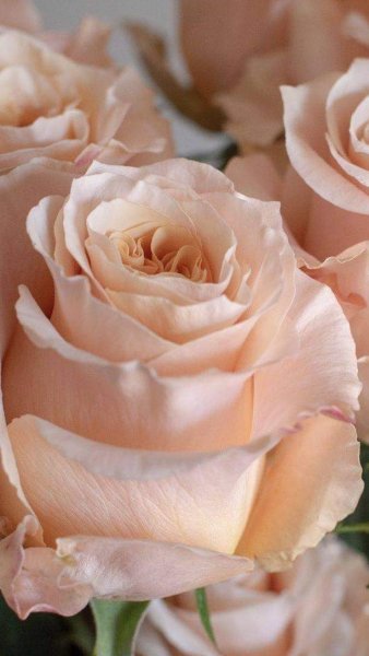 FB IMG 1715017273783