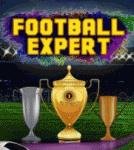 Football Expert