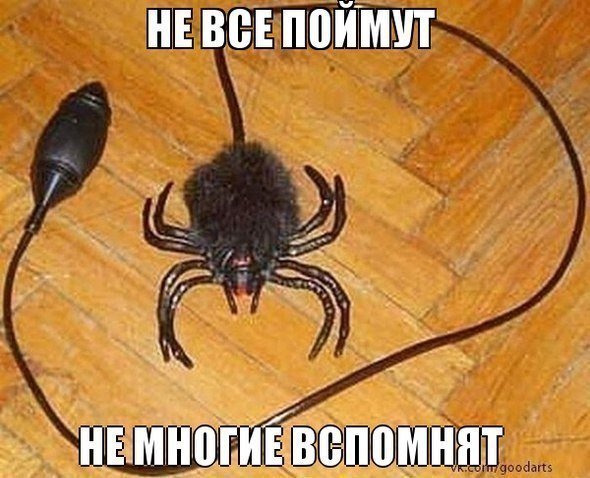 вырослишдшдшдшщ
