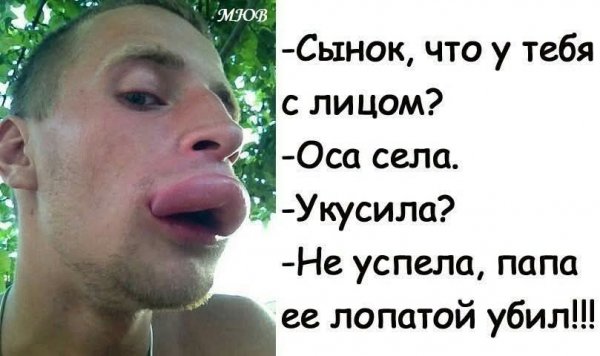 FB IMG 1775992883988