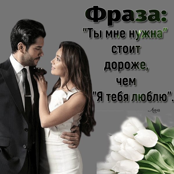 IMG 20260315 014518