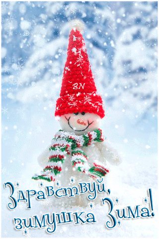 Здравствуй зимушка зима