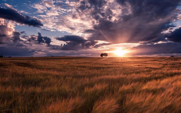 Peizazh-priroda-gorizont-nebo-oblaka-solntse-zarevo-zakat-po