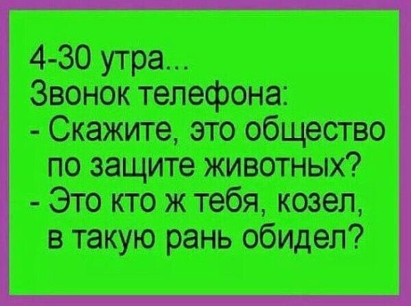 IMG 20241009 123904