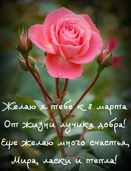 с 8 марта 45