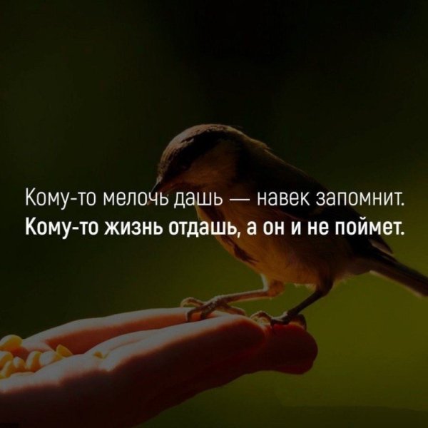 Правда жизни