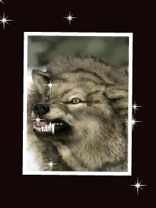 Slide wolf