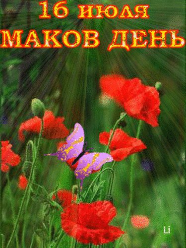 Анимированная открытка маков день (3)