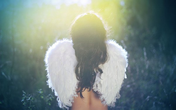 Wallpapers 282