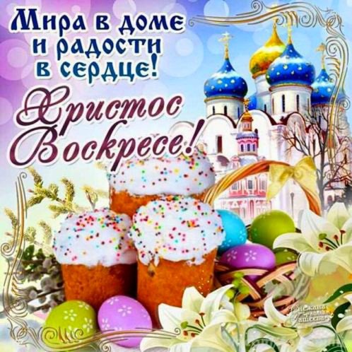 file_93328531