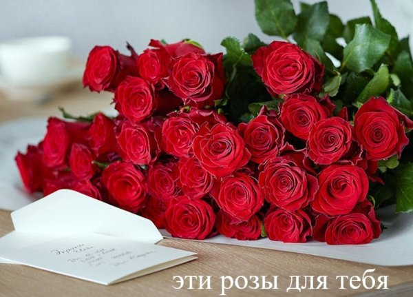 tu-fzDcJxzo