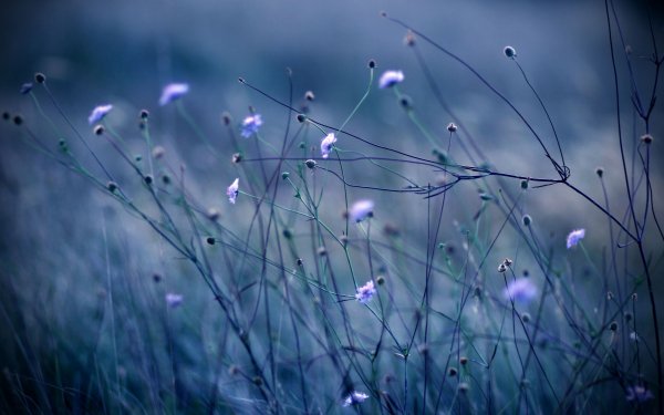 Super mix wallpapers 180 (0190)