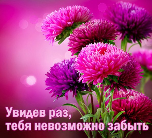 Images 3280