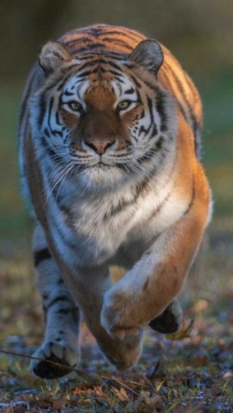 file_91736891