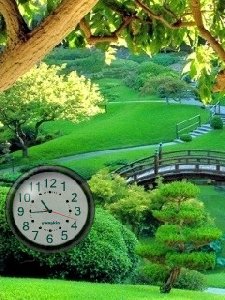 Green nature