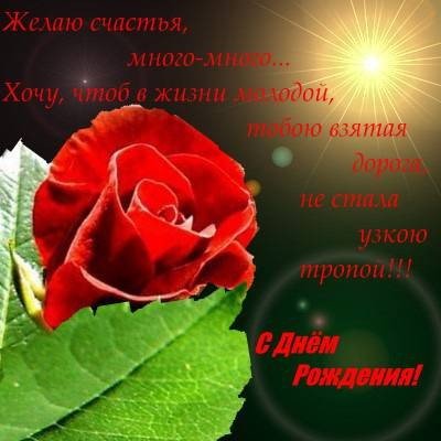 file_81228025