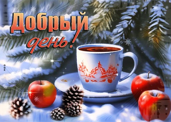 IMG 20260124 103619