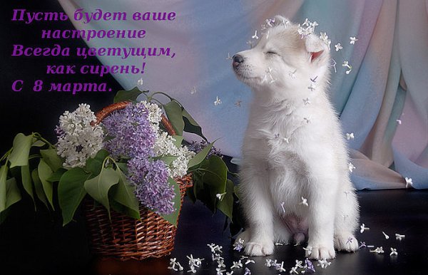 image (83)