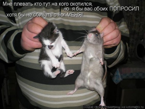 getImage1102