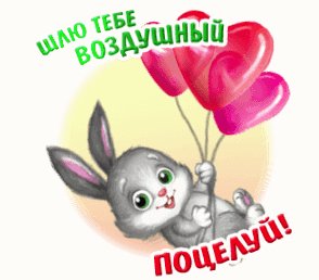 IMG 20171211 190153 14