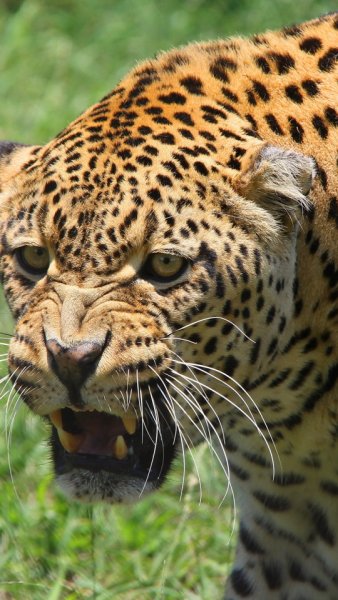 wallpaper 540x960 1 34