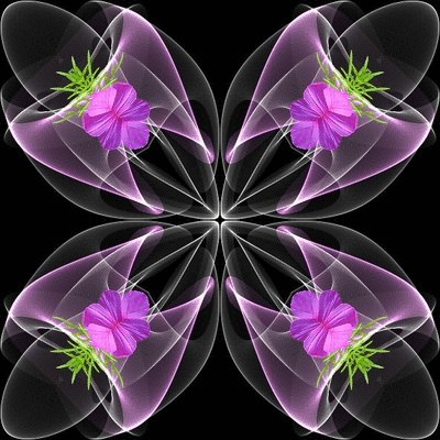 bfbf1d8de0a54a1cc457a6d1fa14f9b2