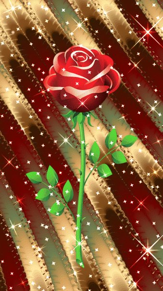 sm3rccopyr 6PN3TSxo