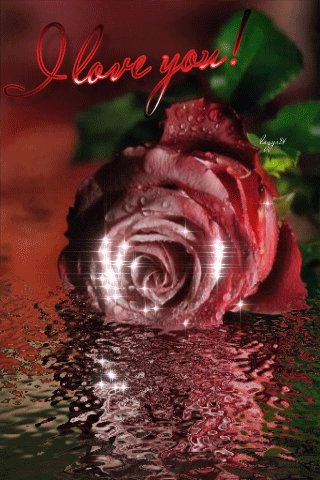 file_49542362