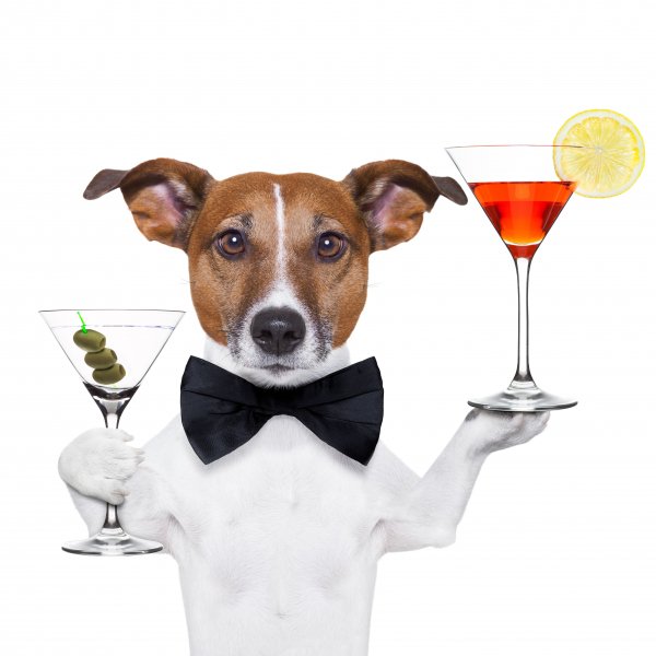Shutterstock 128346590