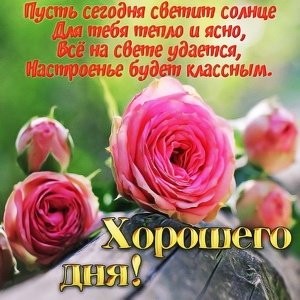 IMG 20181117 120442